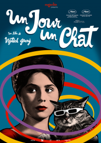 Un Jour un chat