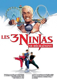 Les Ninjas se dechainent streaming