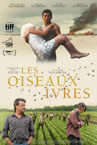 Les Oiseaux Ivres streaming