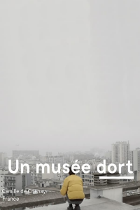 Un musée dort streaming