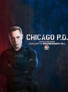 voir Chicago Police Department saison 12 épisode 10