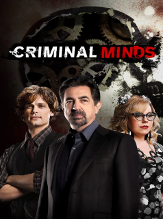 voir Esprits criminels saison 15 épisode 11