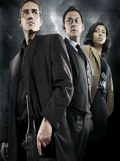 voir serie Person Of Interest en streaming