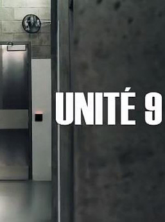 voir Unité 9 saison 3 épisode 9