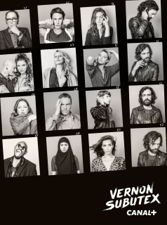 voir Vernon Subutex Saison 1 en streaming 