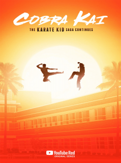 voir Cobra Kai saison 6 épisode 15