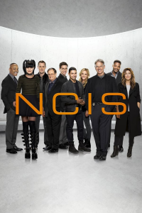 voir NCIS : Enquêtes spéciales saison 13 épisode 6