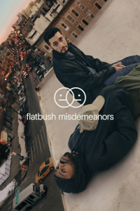 voir serie Flatbush Misdemeanors en streaming