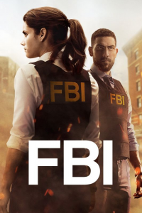 voir F.B.I. Saison 1 en streaming 