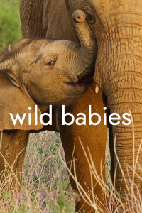 voir Wild Babies : Petits et Sauvages saison 1 épisode 2