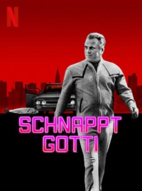 voir serie Get Gotti : Le parrain doit tomber en streaming