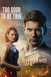 voir Too Good To Be True Saison 1 en streaming 