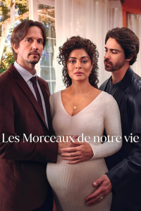 voir Les Morceaux de notre vie (Pedaço de Mim) saison 1 épisode 11