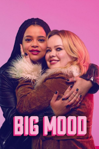 voir Big Mood Saison 1 en streaming 